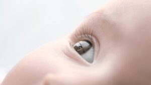 Quelles sont les malformations congénitales de l’œil ? Un oeil de bébé en gros plan.